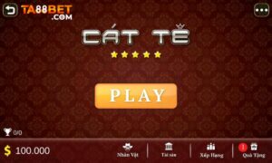 catte